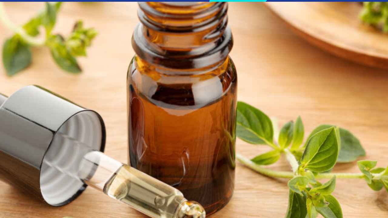 How to Make Oregano Oil ?